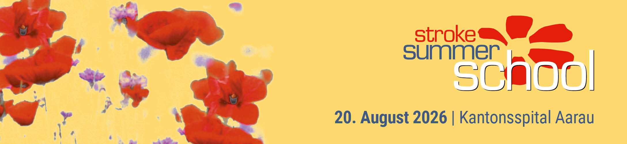 Header Banner für die Konferenz: Stroke Summer School 2026. Diese geht vom 20. August 2026 bis 20. August 2026.